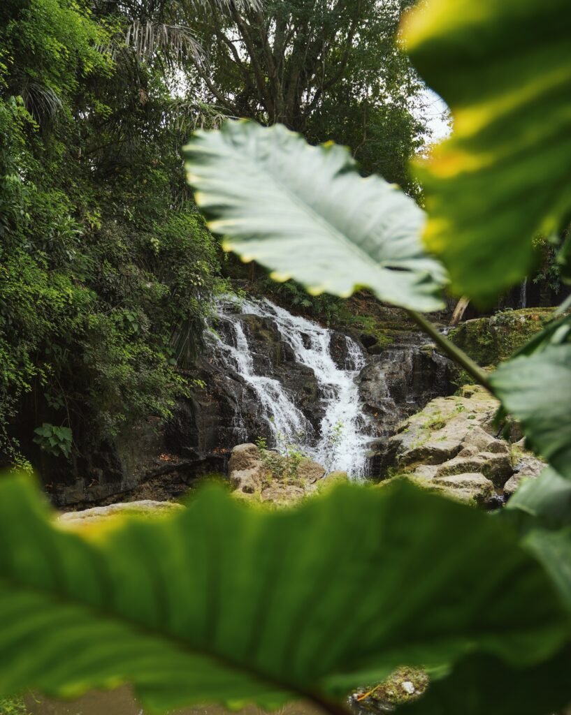 Waterfall View
