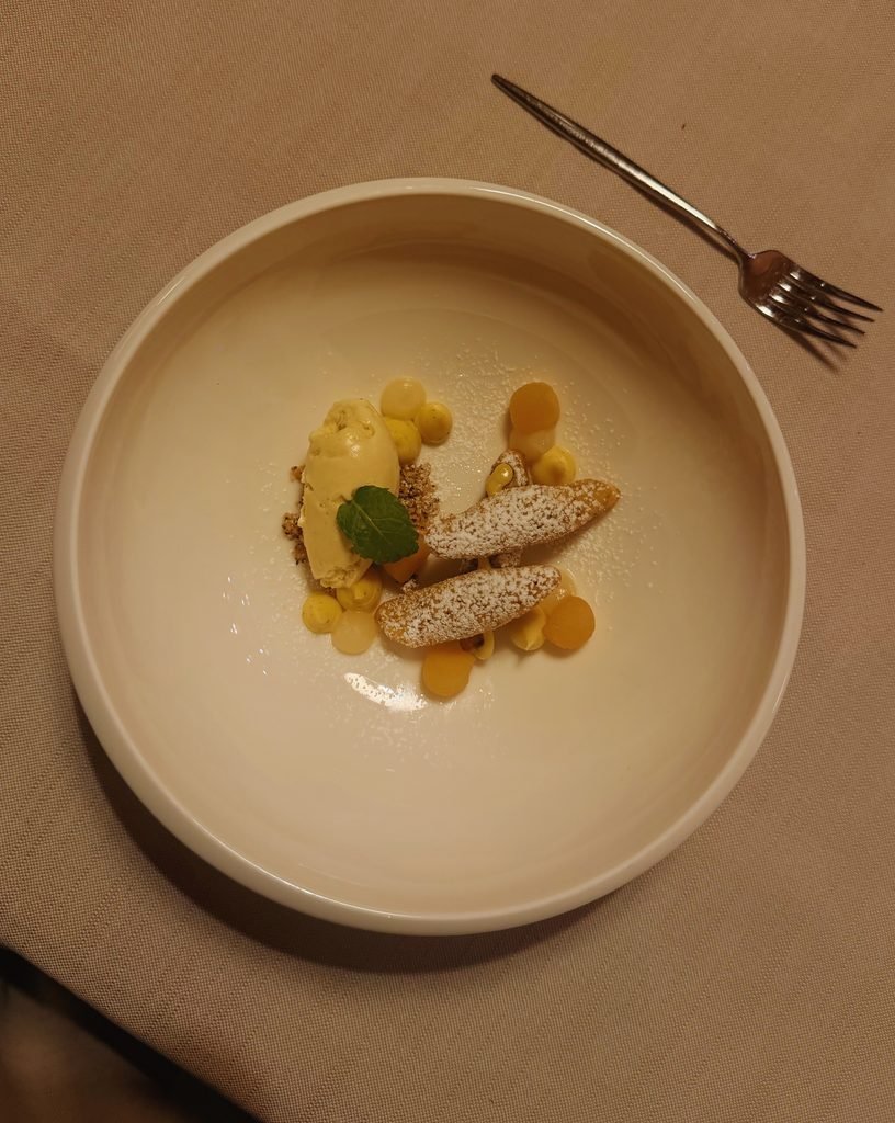 Dessert with fresh fruit and a crisp biscuit at the Hotel Masl five course dinner